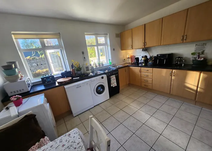 Lejlighed Spacious Garden 18 Parking Wifi Dublin